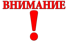 Безопасность. ПДД.